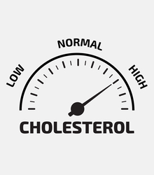 Bile contains too much cholesterol